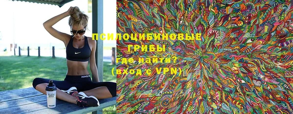 a pvp Алзамай