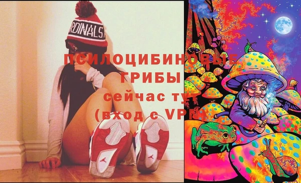 spice Абаза